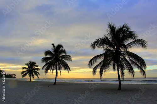 Colorful sunrise and huge palm trees on the beach in the Dominican Republic