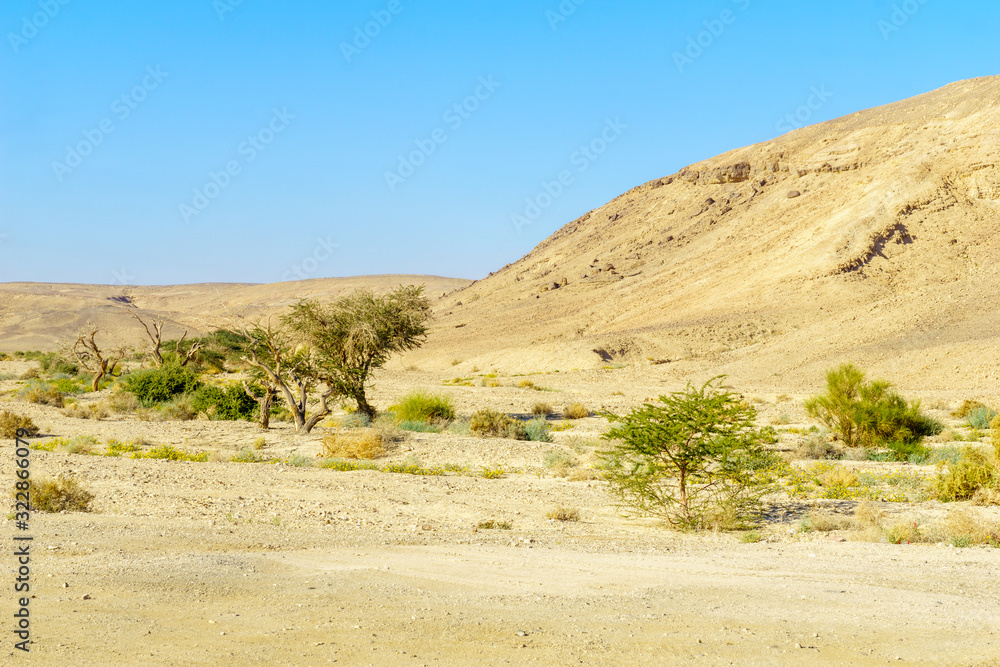 Desert landscape in the northern part of the Arava