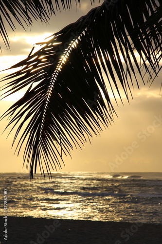 Colorful sunrise and huge palm trees on the beach in the Dominican Republic