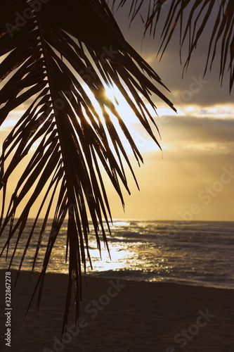 Fototapeta Naklejka Na Ścianę i Meble -  Colorful sunrise and huge palm trees on the beach in the Dominican Republic