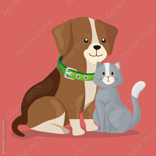 cute little dog with cat