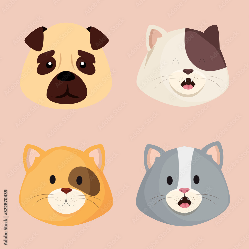 faces of cute little cats with dog faces of cute little cats with dog