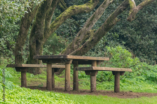 Benches and big wooden table for feast surrounded by young green grass in the barbecue area in the unique relict forest of National Park. Laguna Grande, La Gomera, Canary Islands