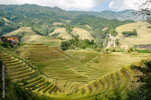 Cultivo de arroz en terrazas en los campos de Longsheng, China 