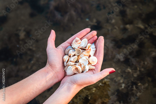 Girl holds seashells in her hands above the water