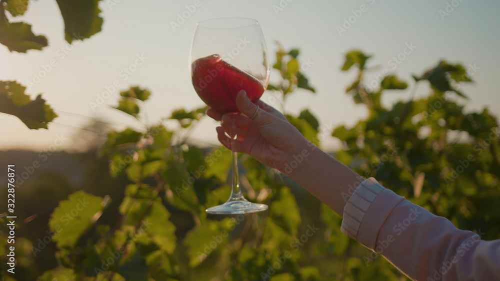 Close up hands young woman stand the vineyards raises the red wine glass grape at sunset organic connecting with nature agriculture sunny travel countryside field green rural slow motion - obrazy, fototapety, plakaty 