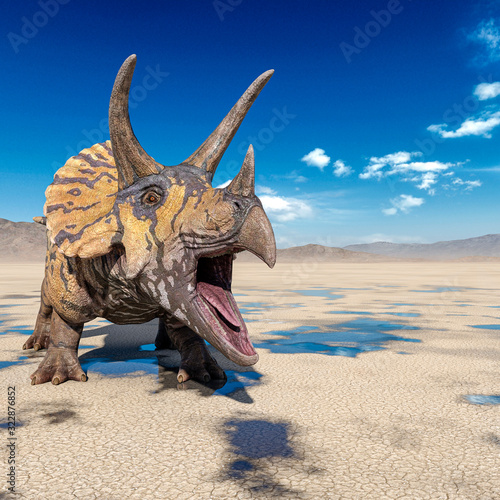 triceratops is angry on the desert after rain with space copy