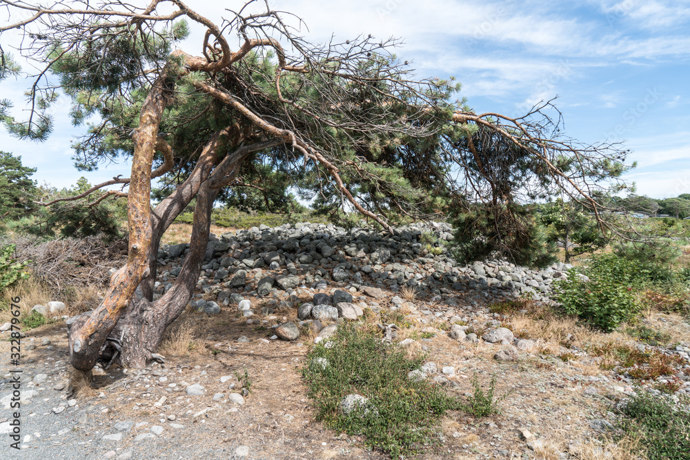 Prähistorische Hügelgräber in Mølen bei Larvik Prähistorische Hügelgräber in Mølen bei Larvik