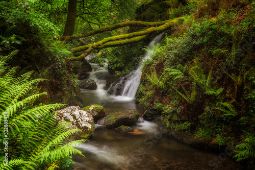 Small waterfall and river running through a forest, Goizueta, Navarre, Spain photo