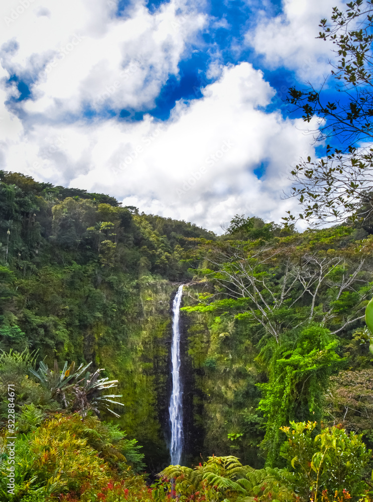 Akaka waterfall in in Big Island of Hawaii 