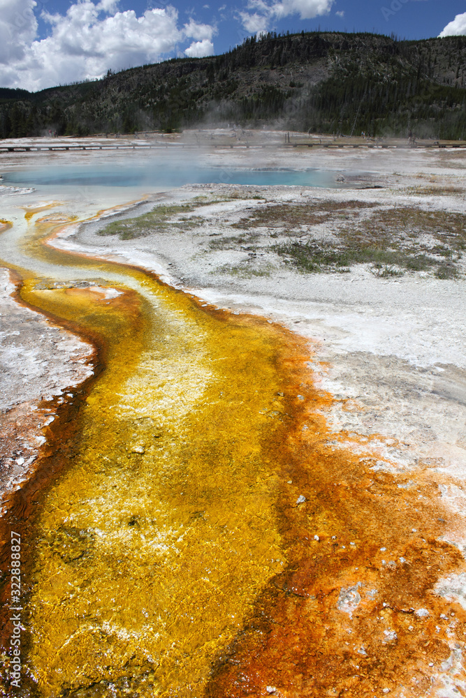 Porcelain Basin Hot Springs, Norris Geyser Basin Yellowstone. The milky ...