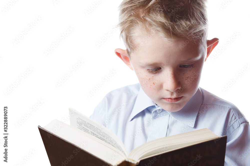 little boy reading book, isolated background little boy reading book, isolated background