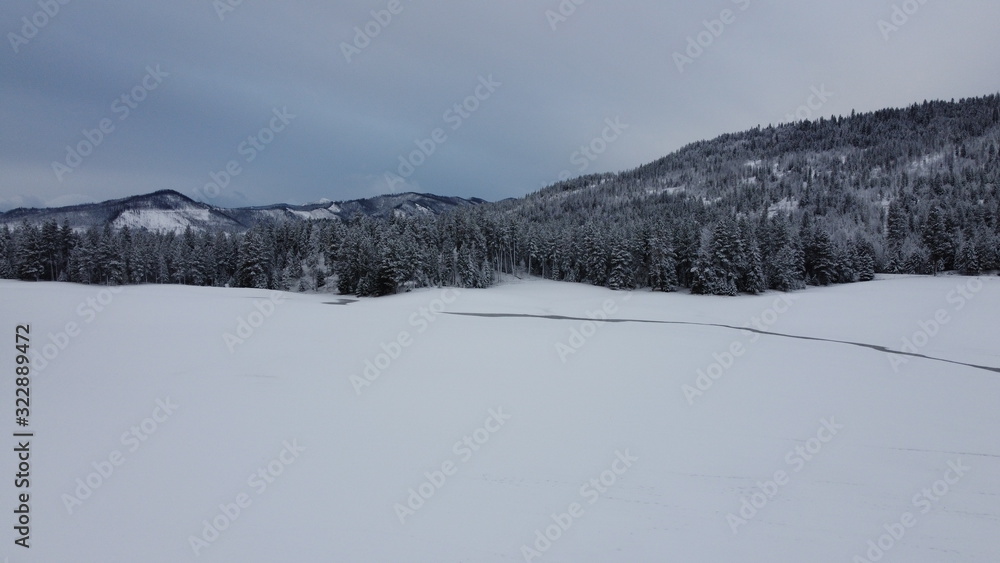 Large snow covered field with stream cutting through in front of snow covered trees on a mountain range
