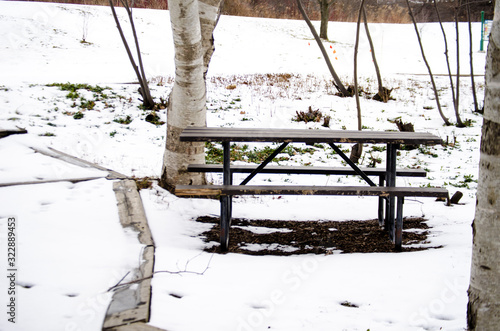 bench in the park