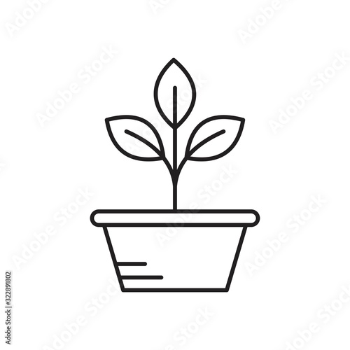 Botany Icon template black color editable. Botany Icon symbol Flat vector illustration for graphic and web design.