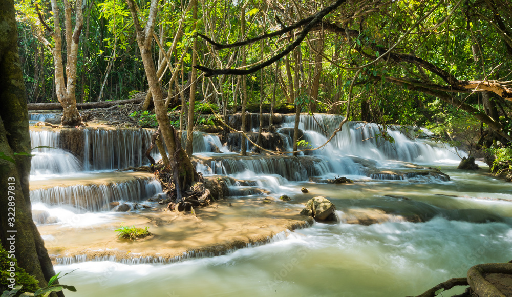 Obraz premium beautiful waterfall, forest background, landscape