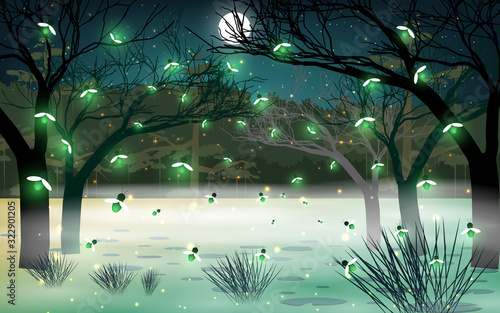firefly at the river in the night	