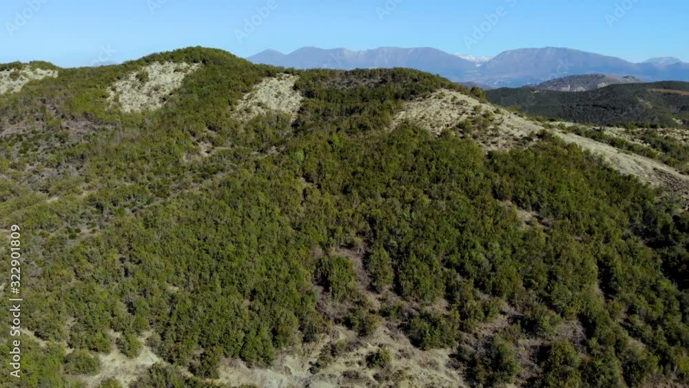 Lush vegetation of mountain slopes with trees forest, coastline washed by calm clear green deep water of lake Lush vegetation of mountain slopes with trees forest, coastline washed by calm clear green deep water of lake