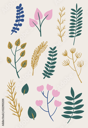 Set of hand drawn colorful set of leaf, herbs and flowers. Detailed botanical illustrations. Vector plants design collection
