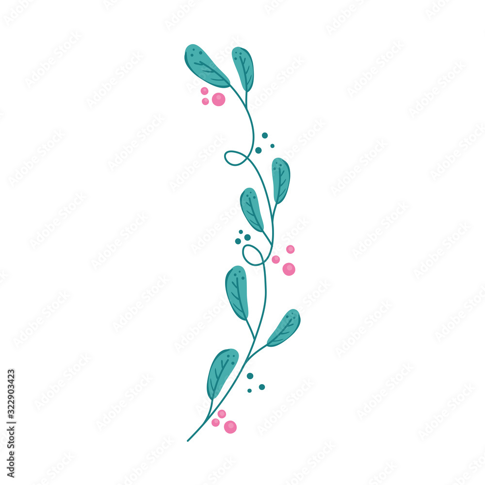 branch with leafs nature and seeds vector illustration design