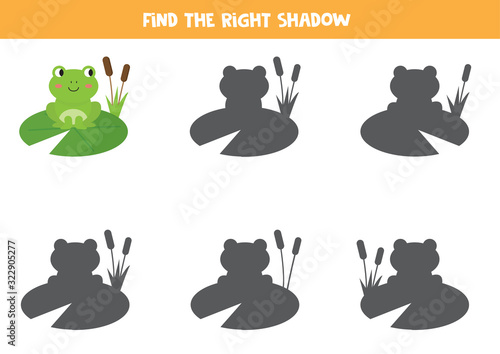 Find the right shadow of green frog. Logical game for kids.