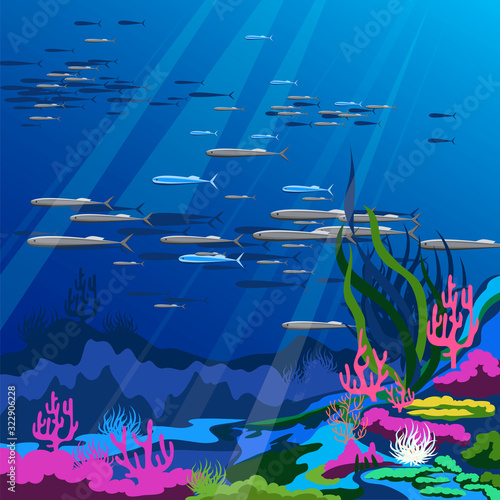 ocean bottom. vector illustration of marine plants and fish. colored corals and sea urchins