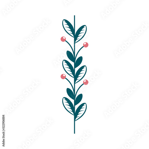 branch with leafs nature and seeds vector illustration design