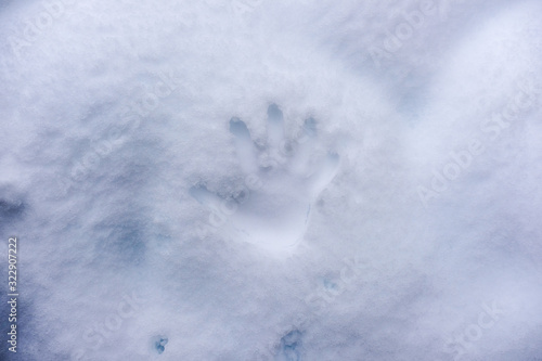 Handprint on white snow background © HarryKiiM Stock