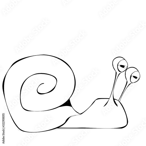 Schnecke