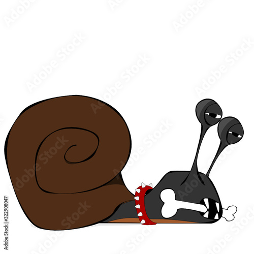 Wild slug