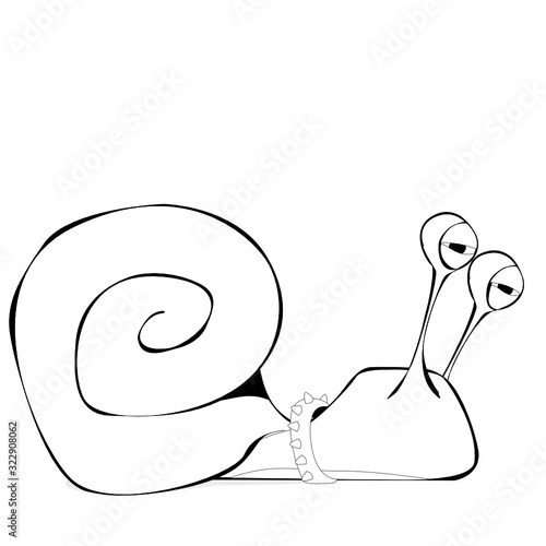 Wild slug