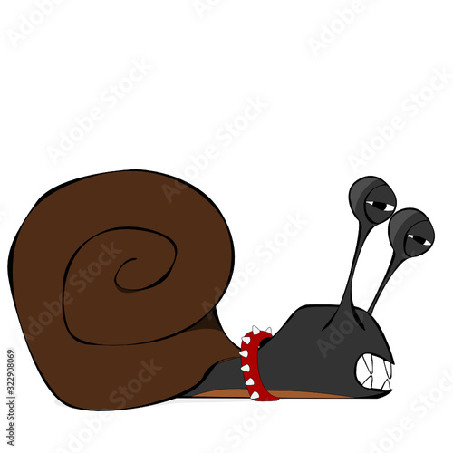 Wild slug