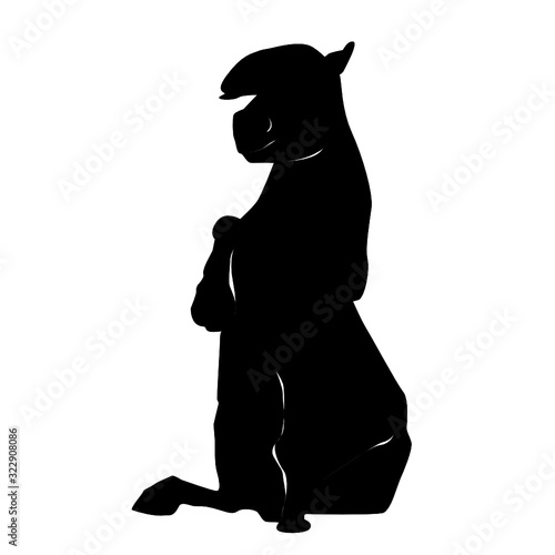Pony