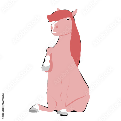 Pony