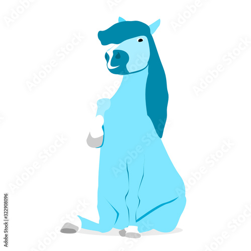 Pony