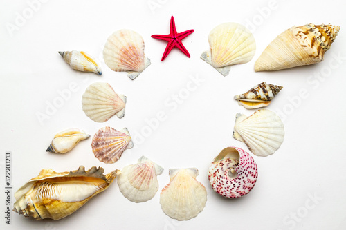 Summer holidays background. Frame of trendy natural organic color seashells, red starfish isolated on white backdrop. Summer is coming concept