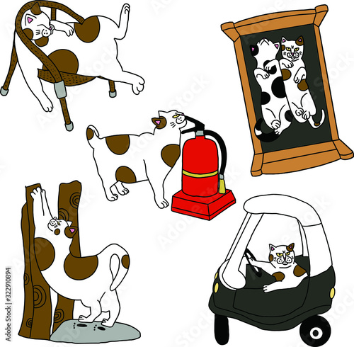 Funny cat driving sleep lazy