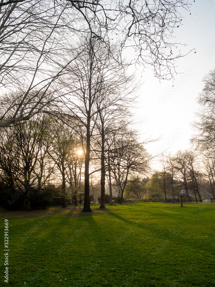 Sunset garden in autum