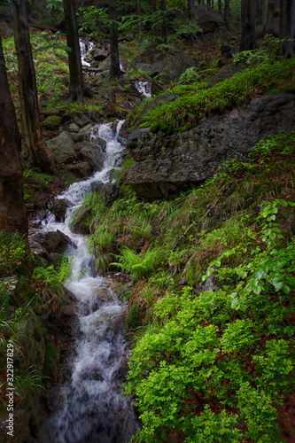 Mountain stream. Mountain nature with stones and stream.
