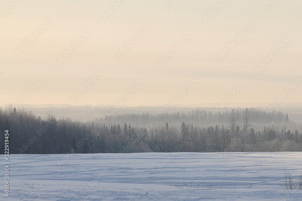 Winter nature landscape with snowy field, forest and gray sky