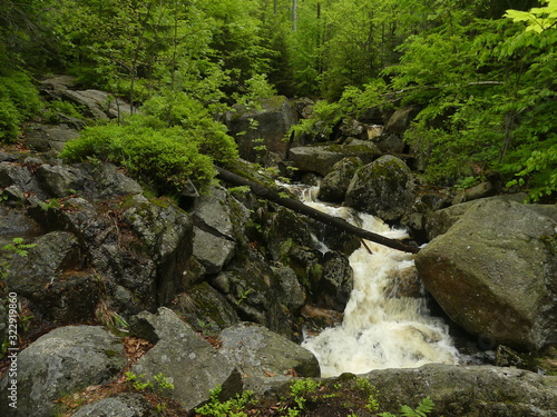 Mountain stream. Mountain nature with stones and stream.