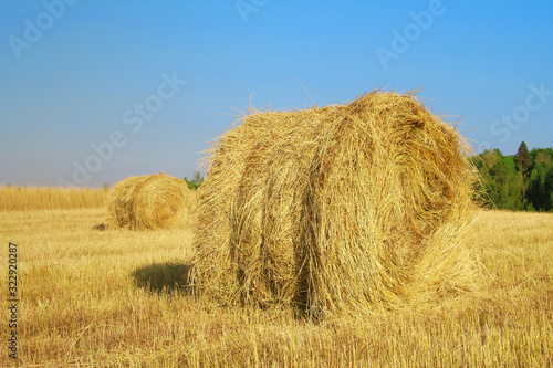 Haystack in the field