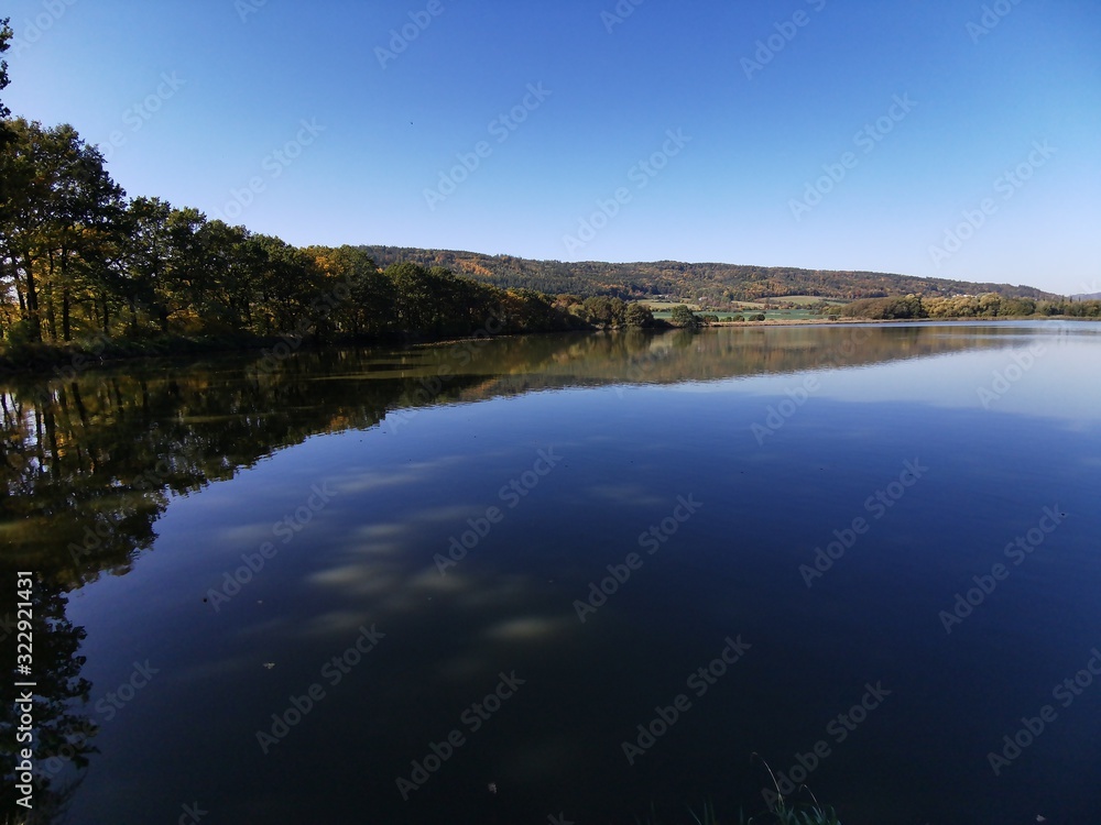 Trees on the lake.Landscape with trees and lake. Trees on the lake.Landscape with trees and lake.
