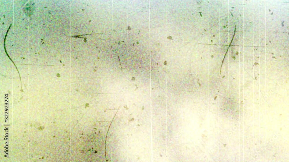 Black-white old film/movie light leaks with grunge overlay particles texture. monochrome vintage effect with noise, scratch, dust. (4K UHD seamless looping, computer digitally generated animation.) Black-white old film/movie light leaks with grunge overlay particles texture. monochrome vintage effect with noise, scratch, dust. (4K UHD seamless looping, computer digitally generated animation.)