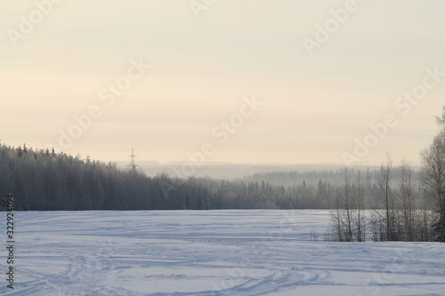 Winter nature landscape with snowy field, forest and gray sky