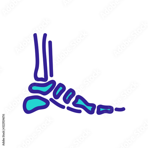 Foot bone icon vector. Thin line sign. Isolated contour symbol illustration