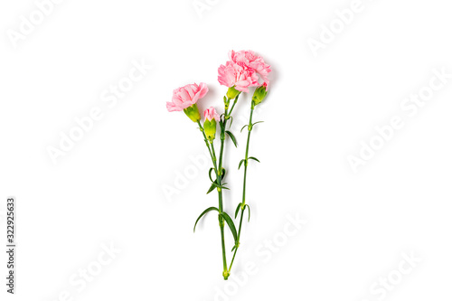 bouquet of pink carnation flower isolated on white background Top view Flat lay Holiday card 8 March, Happy Valentine's day, Mother's, Memorial, Teacher's day concept Copy space photo
