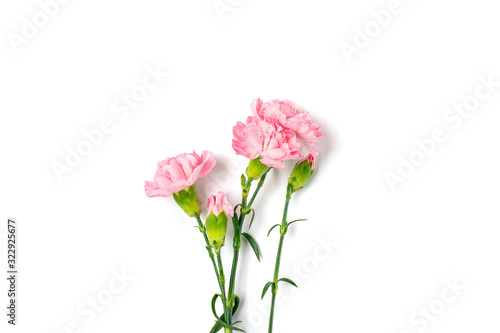bouquet of pink carnation flower isolated on white background Top view Flat lay Holiday card 8 March, Happy Valentine's day, Mother's, Memorial, Teacher's day concept Copy space © bmarya83