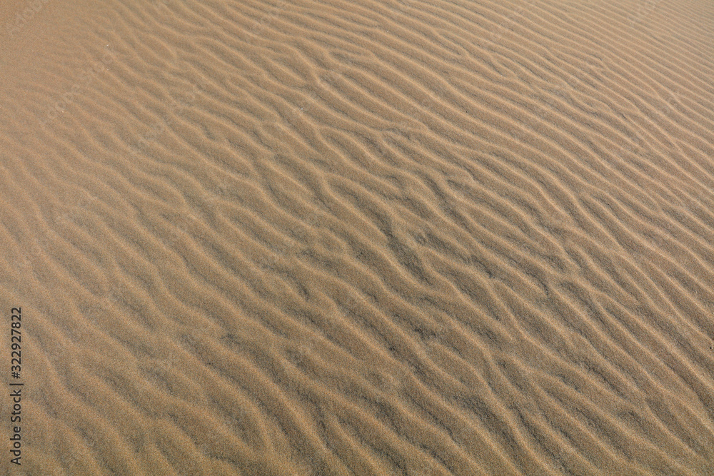 Natural Beach Landscape Natural Beach Landscape