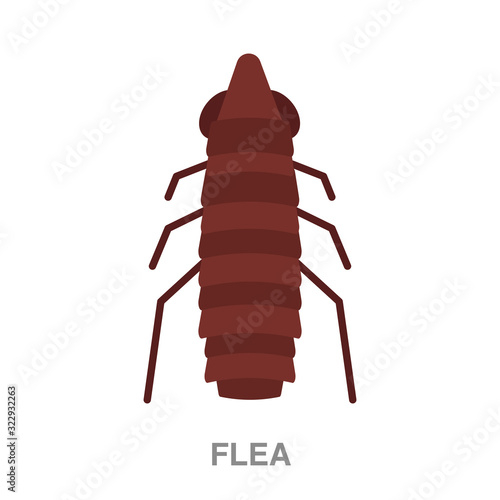 flea flat icon on white transparent background. You can be used black ant icon for several purposes.	